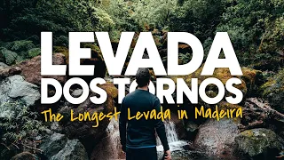 The MOST BEAUTIFUL LEVADA in MADEIRA!? (Levada dos Tornos in Boaventura)