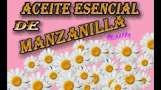 Las increíbles propiedades y usos del MARAVILLOSO✿Aceite ESENCIAL DE MANZANILLA✿ Karminaspa