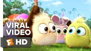 The Angry Birds Movie VIRAL VIDEO - Hatchling Easter (2016) - Animated Movie HD