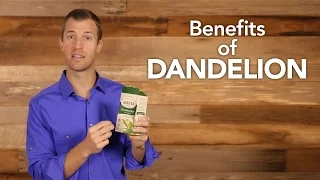 Benefits of Dandelion