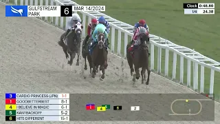 Gulfstream Park Carrera 6 - 14 de Marzo 2024