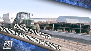 Больше сотни ферм создали в Акмолинской области