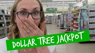 HUGE DOLLAR TREE Shop with Me! 💚 Organization Jackpot!!