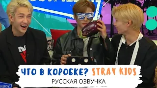 [Озвучка Dino Kpop] Stray Kids угадывают что лежит в коробке! | 04.06.19