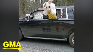 This Easter bunny drive-by is getting us into the Easter spirit l GMA Digital