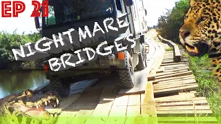 BRAZIL, PANTANAL: Offroad Safari with 127 Horror Bridges - the TRANSPANTANEIRA - ZEITreise Ep 21