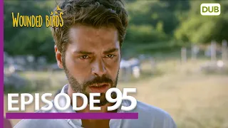 Wounded Birds Episode 95 - Urdu Dubbed | Turkish Drama