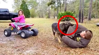 GERMAN SHEPHERD protects CHILD!🤗