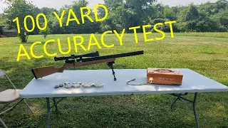 Air Venturi Avenger 25 caliber 100 yard accuracy test