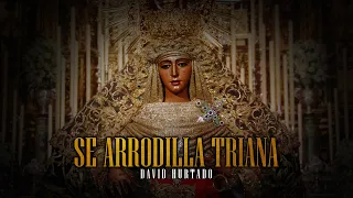 SE ARRODILLA TRIANA (David Hurtado)