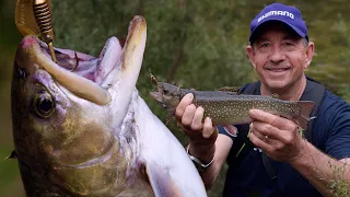 TROUT Fishing the Snowy Mountains in Australia: Camping, Cooking + Mountain Huts! FULL ADVENTURE!