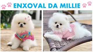 ENXOVAL DA MINHA BEBÊ LULU DA POMERÂNIA - Muita fofura!!!