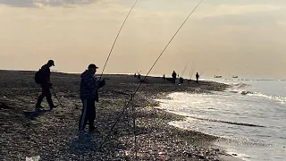 16.12.2021. Погода в Сочи в декабре. Смотри на Чёрное море каждый день.