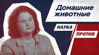 Зоопсихолог против мифов о домашних животных // Наука против