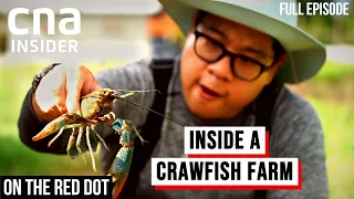 Hi-Tech Crawfish Farm: How I Grow The Best Crawfish | On The Red Dot | Full Episode