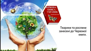 Тварини та рослини занесені до Червоної книги.