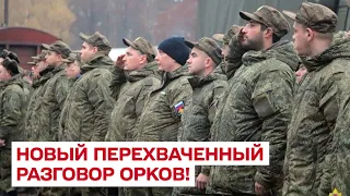 🐷 "Вы что, конченные, нах*й?!" Пьяные российские военные валяются на улице!