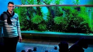 THE WORLD'S MOST FAMOUS PLANTED TANK - TAKASHI AMANO'S HOME AQUARIUM - JAPAN VLOG PART 2