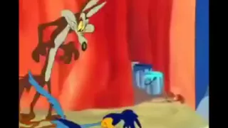 Finally Wile E Coyote Catches Road Runner