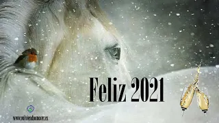 Adiós a un año de profundas enseñanzas... ¡Feliz 2021! 🥂