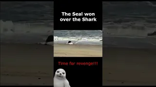 Seal kills Shark😲Seal vs Shark🦭🦈