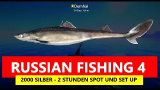 Russian Fishing 4 Trophy Dornhai Silber farmen am Nordmeer 2 h 2000 Silber Spot und Set Up
