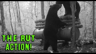 Non-Stop Hunting Leads To Boone Crockett Bear - a Movie (Manitoba) 2023