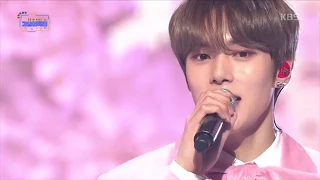 [몬스타엑스/민혁] 181229 가요대축제 - 이쁘다니까 (민혁 CUT)