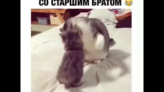 Когда дерешься со старшим братом😂