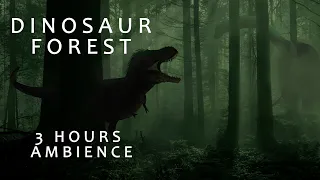 Dinosaur Forest - 3 hours - Dinosaur Ambience - Jurassic Park Ambience -  Dinosaur and Forest Sounds