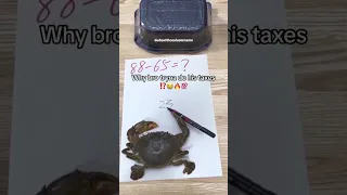 Funny animal videos I found on Instagram and Tiktok #shorts #funnyanimals