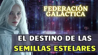 EL DESTINO de las SEMILLAS ESTELARES | Federación Galáctica de Luz