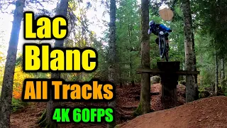 Lac Blanc Bikepark | All Tracks! | Track Preview | 4K 60FPS | Pilot's Preview #19