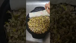 섬유질이 풍부한 숙주나물 뚝배기에 키우기 Raising bean sprouts in an earthen pot with plenty of fiber