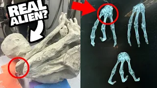 REAL Alien Mummy found in Nazca, Peru? Is it a HOAX? 30% Unknown DNA & 3 Fingers!