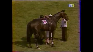 Championnat d'Europe - Complet - Punchestown 1991