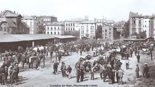 Alte Fotos Von Frankfurt am Main / Einzigartige Aufnahmen 1890 - 1900 / Bilder deutscher Städte