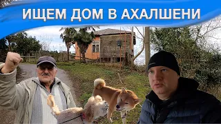 Ищем дом в Ахалшени | Гонио в Январе | Купить дом в Грузии Тел. +995 555 47 95 76