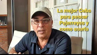 La mejor Ceba para pescar Pejerreyes y como usarla