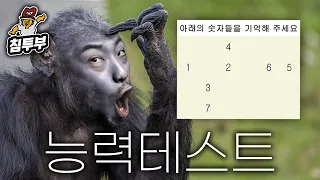 침착맨 vs 침팬지