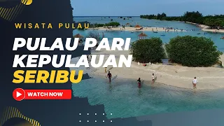 Liburan Seru ke Pulau Pari, Bisa Snorkeling dan Menikmati Pantai Pasir Perawan