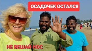 Индия Гокарна.Местные не дают прохода. Храм Рама. Поездка закончилась разочарованием.  #гокарна