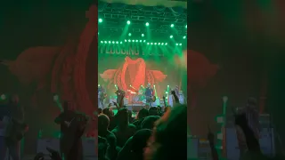 Flogging Molly live 9/5/23 What’s Left Of The Flag