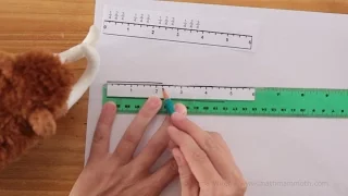 Measuring to the nearest quarter inch