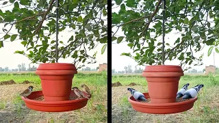 How to make Hanging Bird Feeder Using Flower pot.