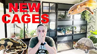 Building My Animals' Dream Homes! | Luxurious Custom Cages