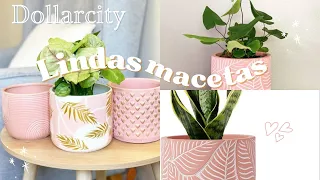 🏡 Lindas macetas para tu hogar 🌿 #dollarcity