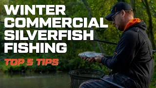 Winter Commercial Silverfish Fishing | Top 5 Tips | Adam Richards
