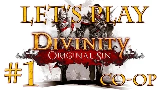 Let's Play Divinity Original Sin (part 1 - The Beginning [Co-Op])