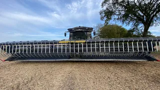 Soybean Harvest with a Gleaner and Claas combine